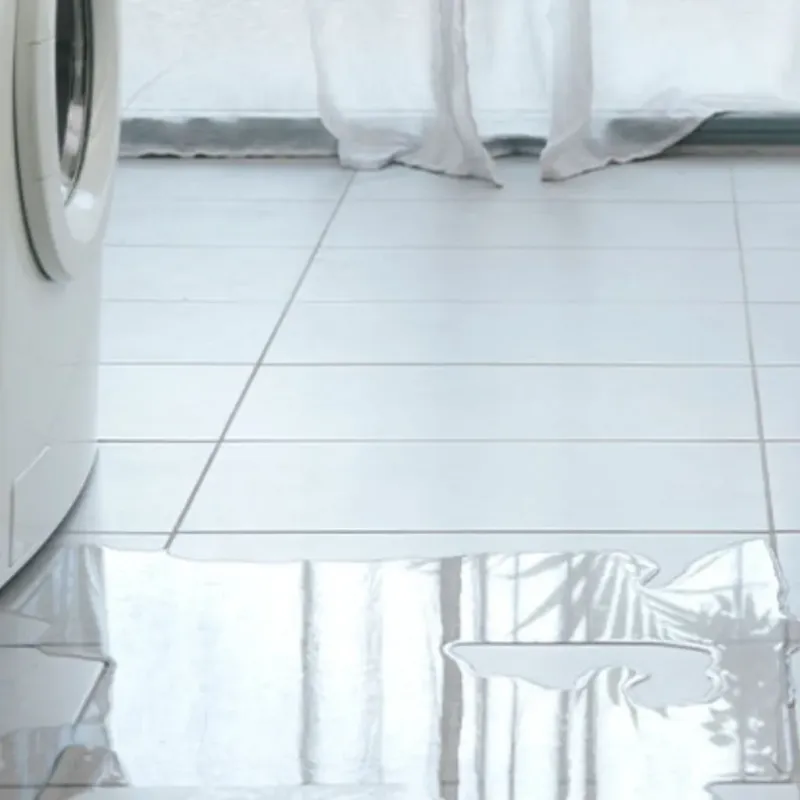 Appliance Leak Cleanup in Litchfield, IL