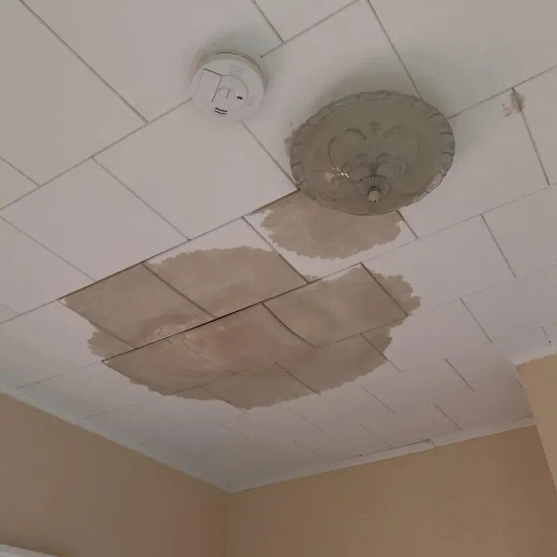 Ceiling Water Damage Repair in Litchfield, IL