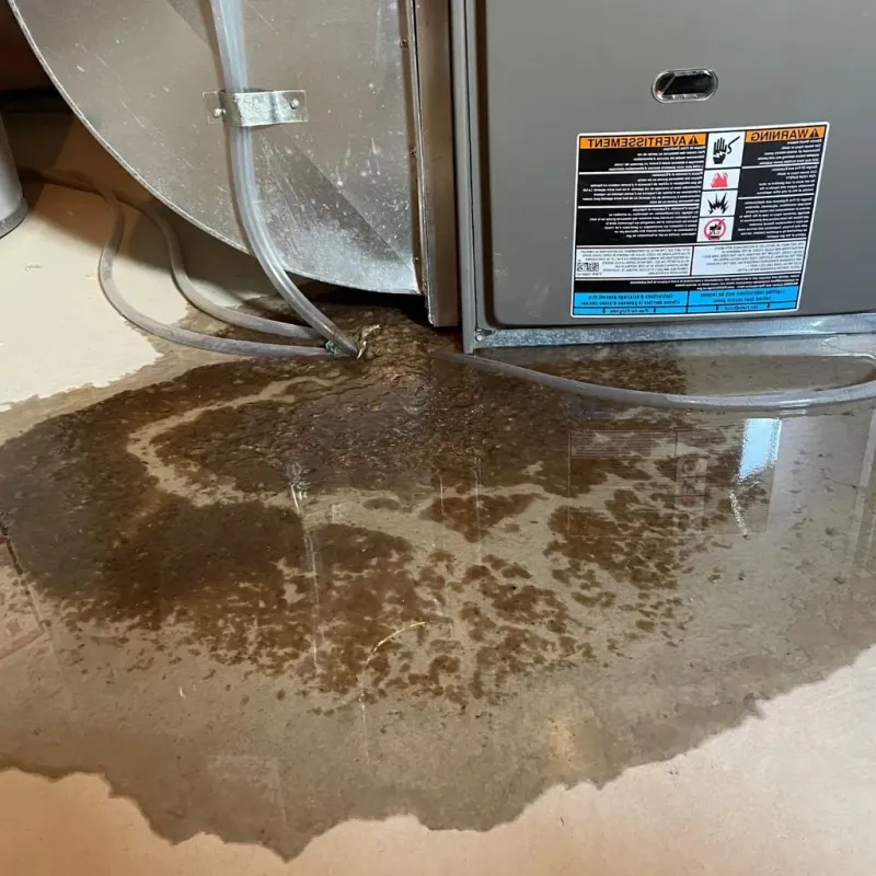 Pipe Burst and Leak Restoration in Litchfield, IL