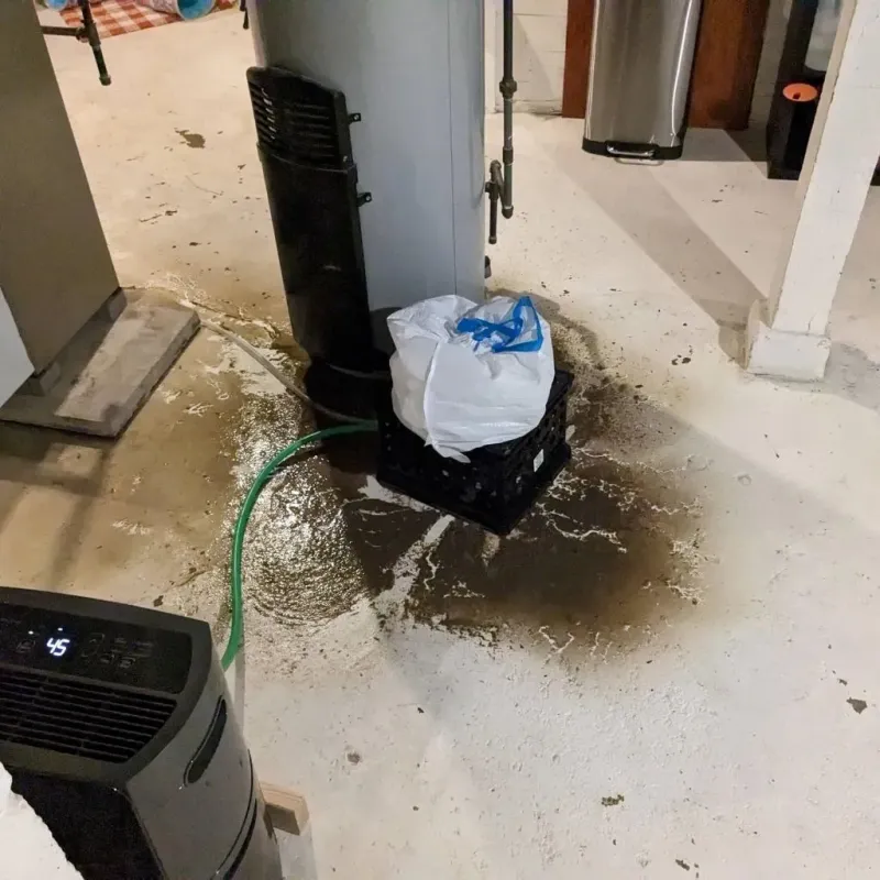 Sewage Backup Cleanup Service in Litchfield, IL
